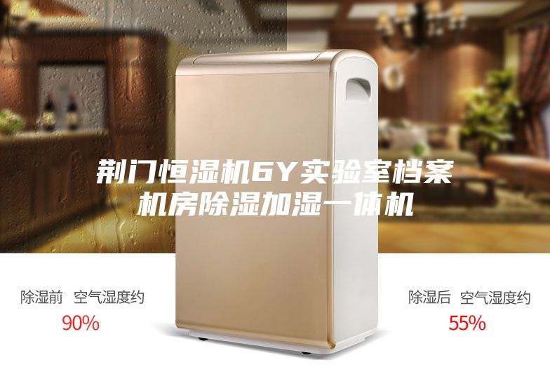 荊門(mén)恒濕機(jī)6Y實(shí)驗(yàn)室檔案機(jī)房除濕加濕一體機(jī)