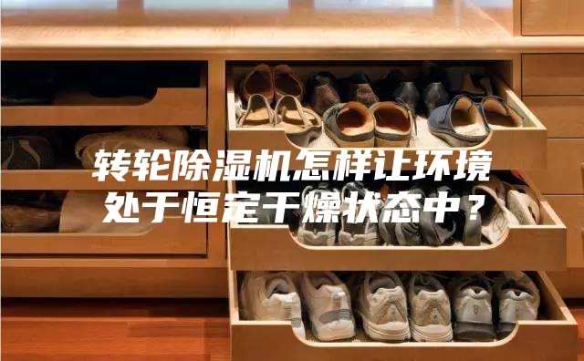 轉輪除濕機怎樣讓環境處于恒定干燥狀態中？