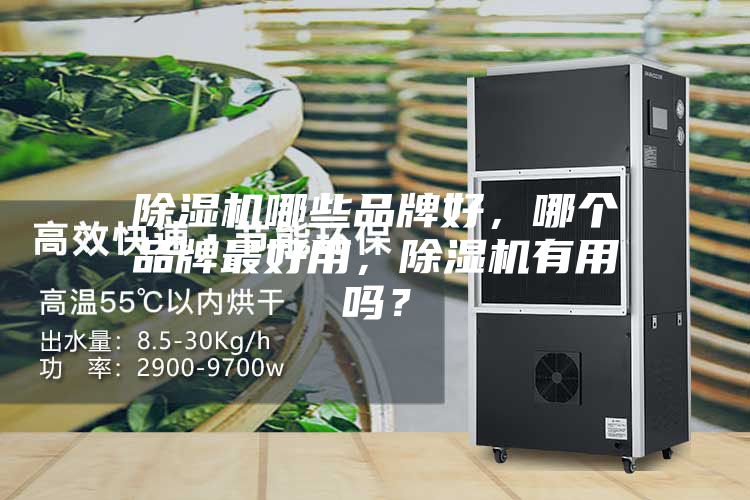 除濕機(jī)哪些品牌好，哪個(gè)品牌最好用，除濕機(jī)有用嗎？