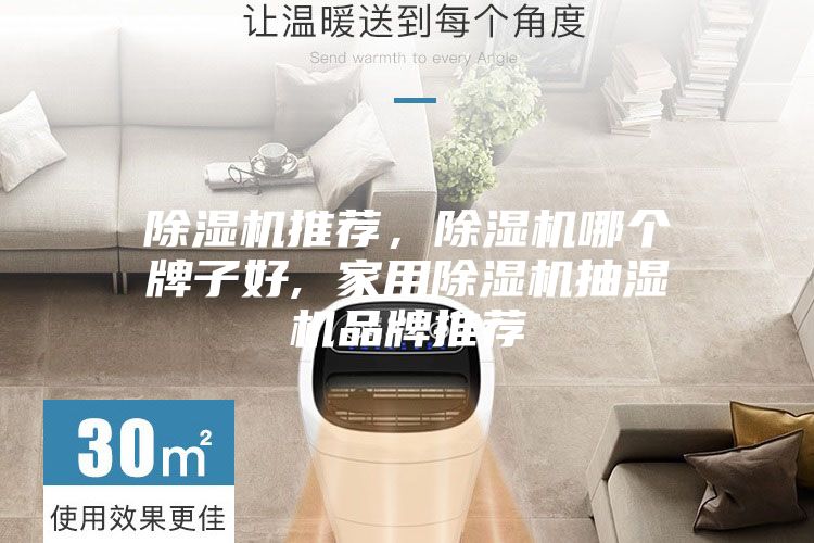 除濕機(jī)推薦,除濕機(jī)哪個(gè)牌子好, 家用除濕機(jī)抽濕機(jī)品牌推薦