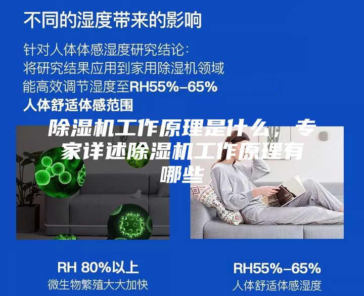 除濕機工作原理是什么，專家詳述除濕機工作原理有哪些