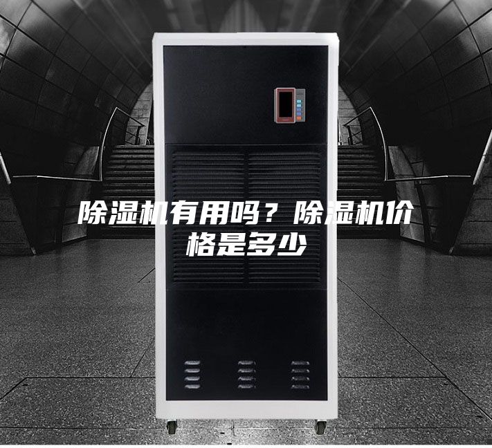除濕機(jī)有用嗎?除濕機(jī)價(jià)格是多少