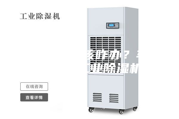 車間潮濕該咋辦？車間除潮工業除濕機