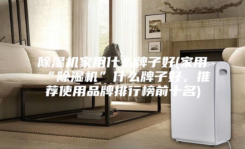 除濕機家用什么牌子好(家用“除濕機”什么牌子好，推薦使用品牌排行榜前十名)
