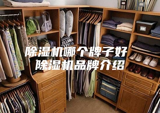 除濕機哪個牌子好 除濕機品牌介紹