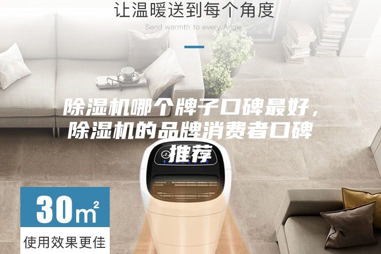 除濕機哪個牌子口碑最好，除濕機的品牌消費者口碑推薦