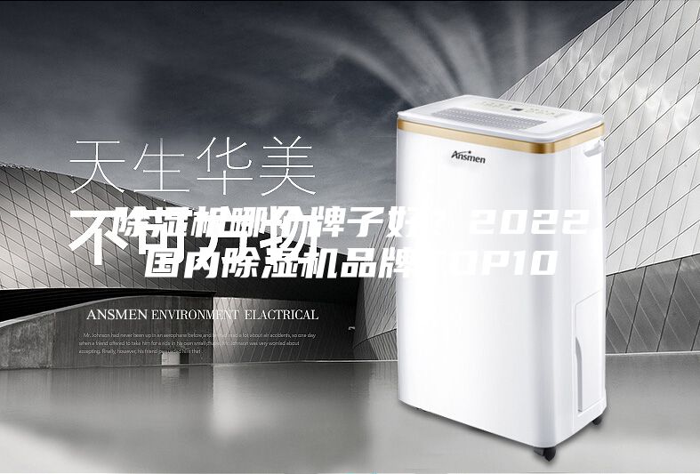 除濕機哪個牌子好？2022國內除濕機品牌TOP10