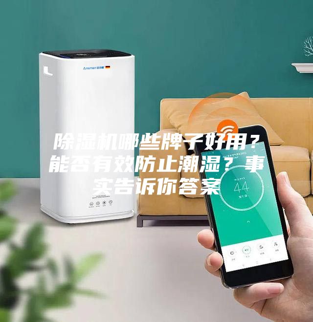 除濕機哪些牌子好用？能否有效防止潮濕？事實告訴你答案