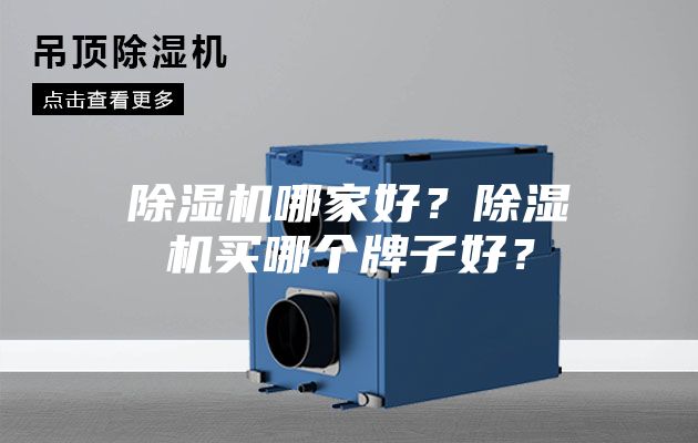 除濕機哪家好？除濕機買哪個牌子好？