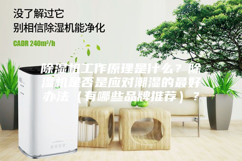 除濕機工作原理是什么？除濕機是否是應對潮濕的最好辦法（有哪些品牌推薦）？