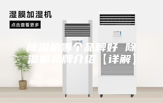 除濕機哪個品牌好 除濕機品牌介紹【詳解】