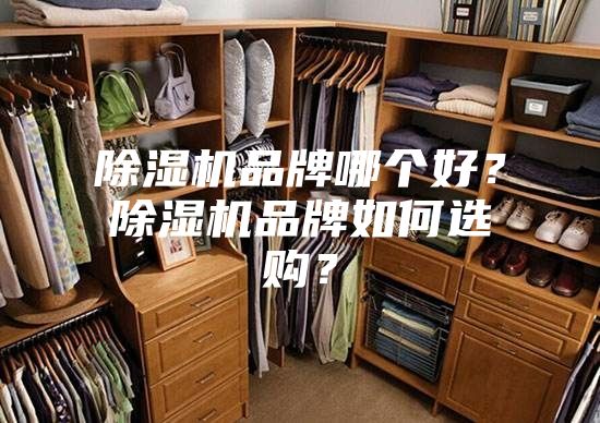 除濕機品牌哪個好？除濕機品牌如何選購？