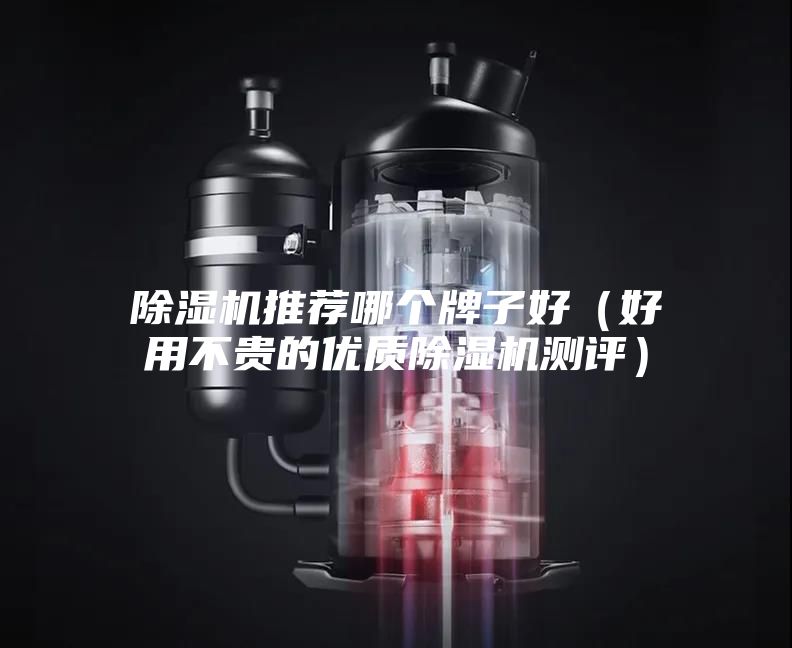 除濕機(jī)推薦哪個牌子好(好用不貴的優(yōu)質(zhì)除濕機(jī)測評)