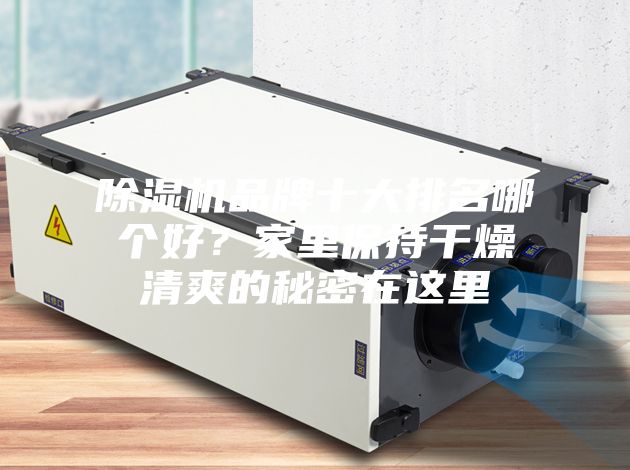 除濕機品牌十大排名哪個好？家里保持干燥清爽的秘密在這里