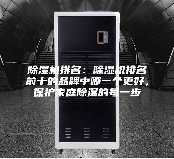 除濕機排名：除濕機排名前十的品牌中哪一個更好，保護家庭除濕的每一步