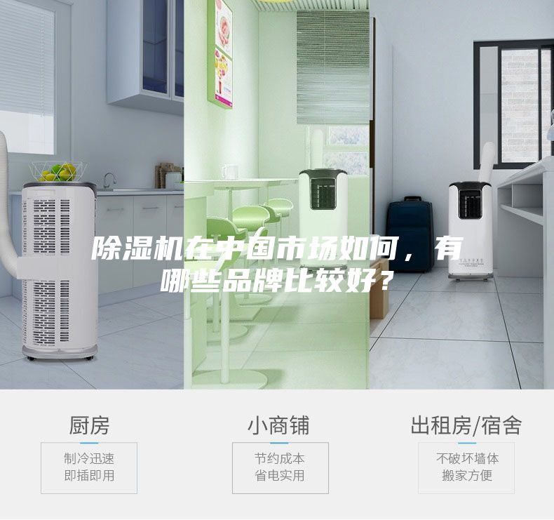 除濕機在中國市場如何,有哪些品牌比較好?