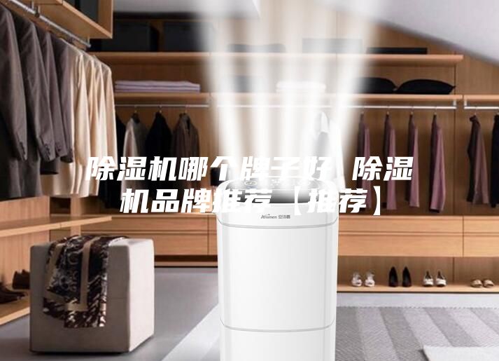 除濕機哪個牌子好 除濕機品牌推薦【推薦】