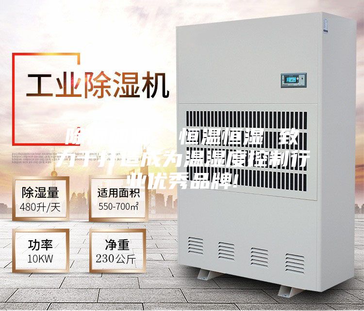 除濕加濕 恒溫恒濕 致力于打造成為溫濕度控制行業(yè)優(yōu)秀品牌!