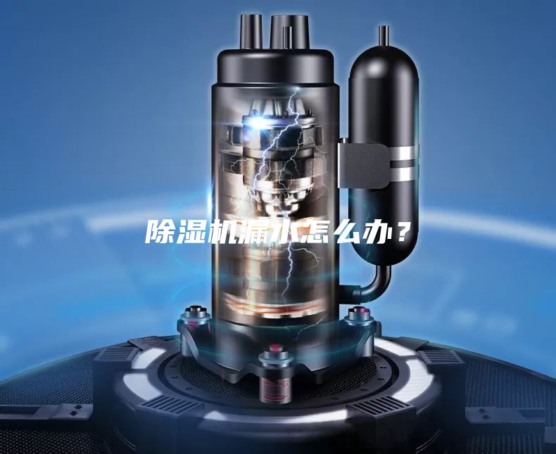 除濕機漏水怎么辦？