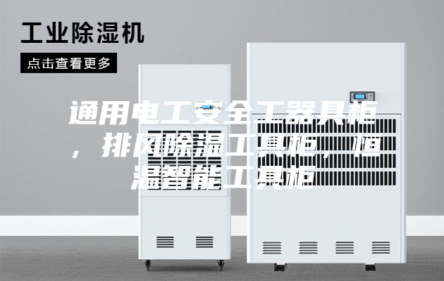 通用電工安全工器具柜，排風(fēng)除濕工具柜，恒溫智能工具柜