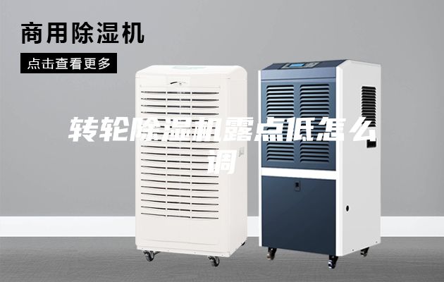 轉輪除濕機露點低怎么調