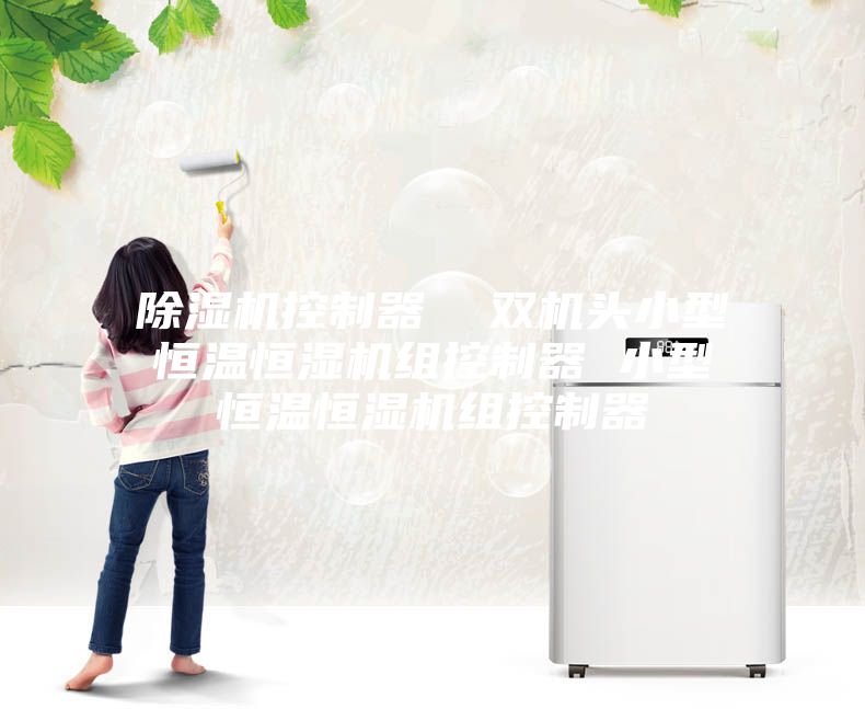 除濕機控制器 雙機頭小型恒溫恒濕機組控制器 小型恒溫恒濕機組控制器