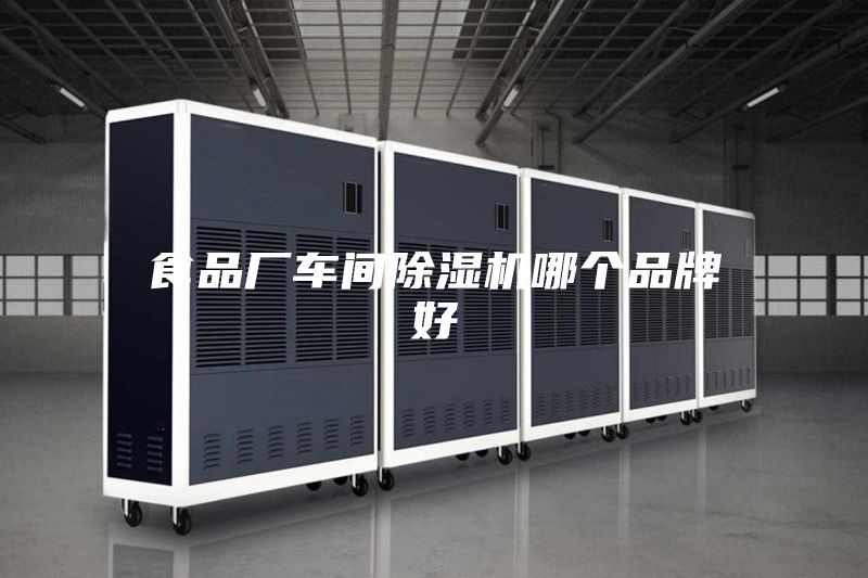 食品廠車間除濕機(jī)哪個品牌好