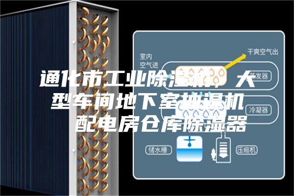 通化市工業(yè)除濕機,大型車間地下室抽濕機 配電房倉庫除濕器