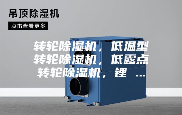 轉輪除濕機,低溫型轉輪除濕機,低露點轉輪除濕機,鋰 ...