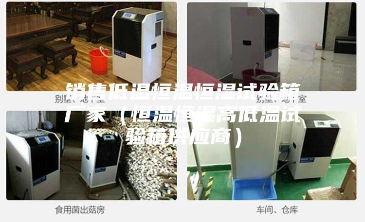 銷售低溫恒溫恒濕試驗箱廠家(恒溫恒濕高低溫試驗箱供應商)