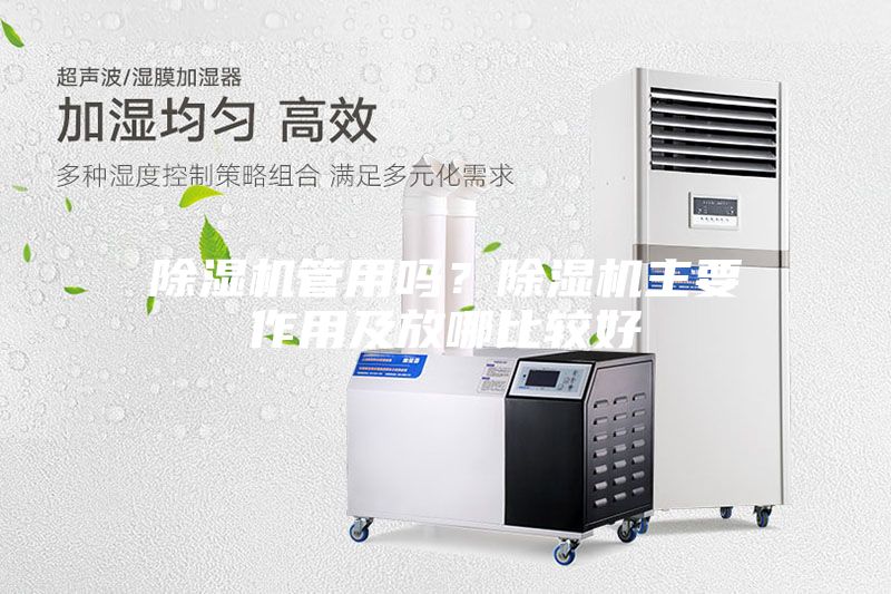 除濕機管用嗎?除濕機主要作用及放哪比較好