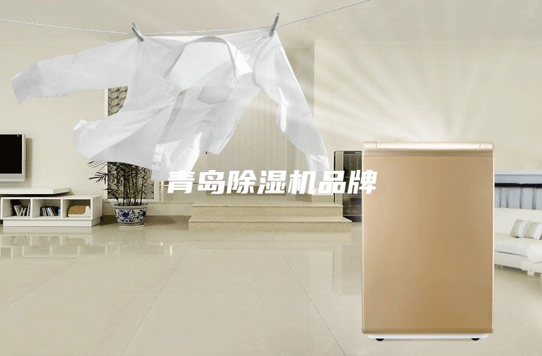 青島除濕機品牌