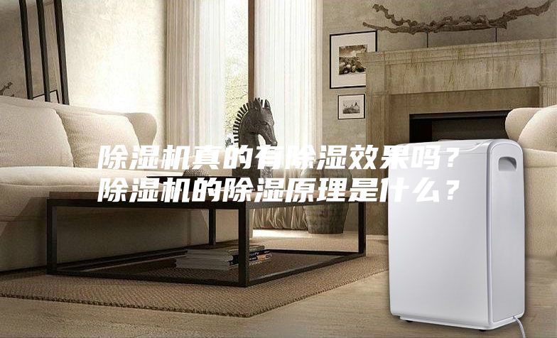 除濕機(jī)真的有除濕效果嗎？除濕機(jī)的除濕原理是什么？