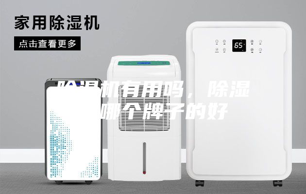 除濕機有用嗎，除濕機哪個牌子的好