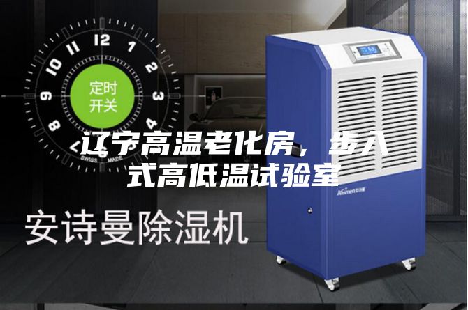 遼寧高溫老化房,步入式高低溫試驗室