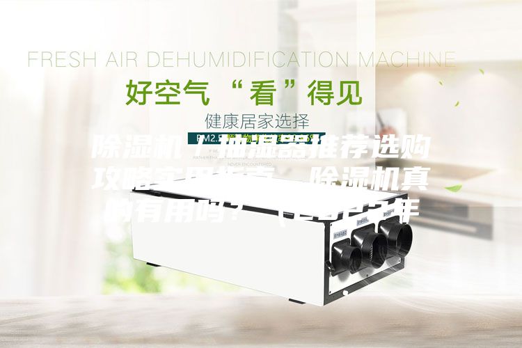 除濕機／抽濕器推薦選購攻略實用指南，除濕機真的有用嗎？（2022年