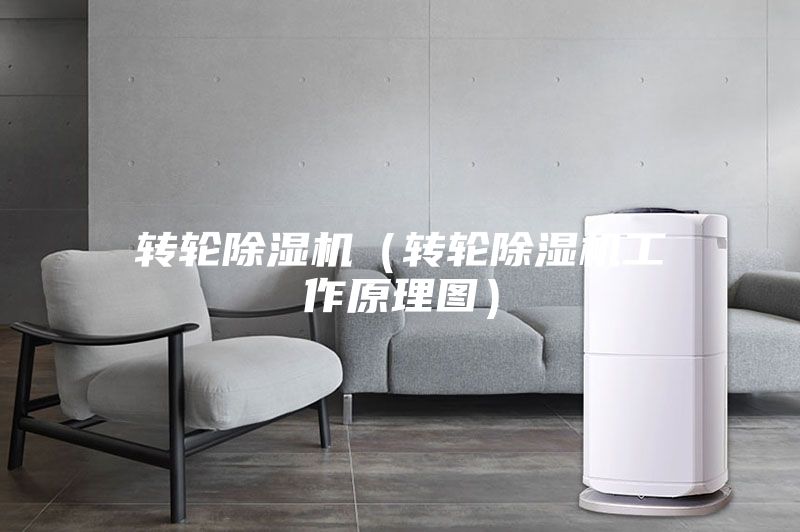 轉輪除濕機(轉輪除濕機工作原理圖)