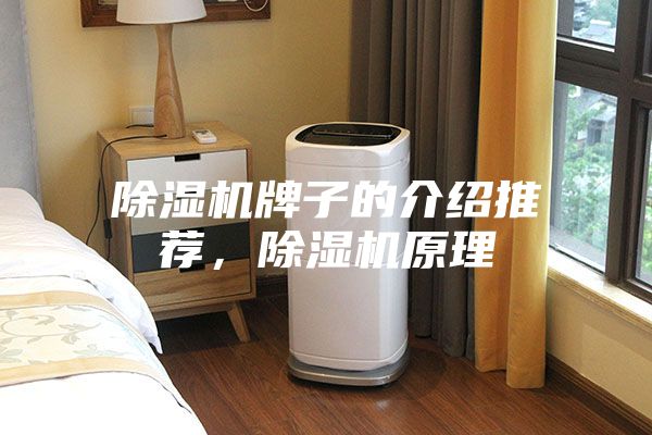 除濕機牌子的介紹推薦，除濕機原理