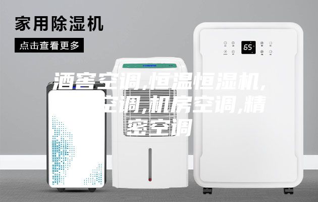 酒窖空調,恒溫恒濕機,凈化空調,機房空調,精密空調