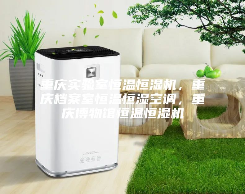 重慶實驗室恒溫恒濕機,重慶檔案室恒溫恒濕空調,重慶博物館恒溫恒濕機