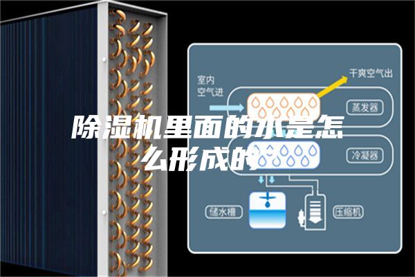 除濕機里面的水是怎么形成的?