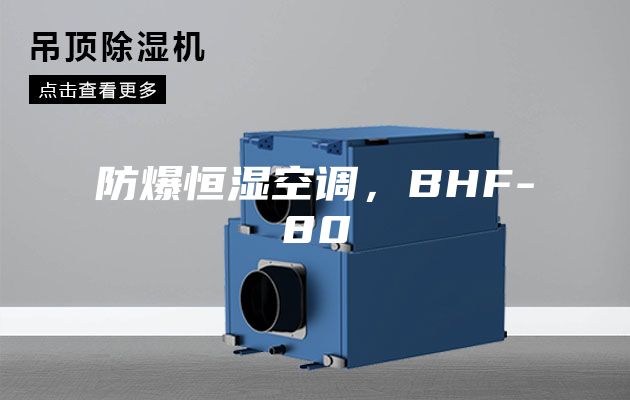 防爆恒濕空調,BHF-80