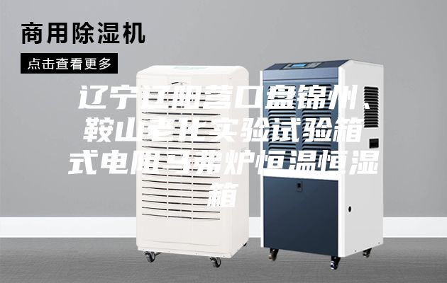 遼寧遼陽營口盤錦州、鞍山老化實(shí)驗(yàn)試驗(yàn)箱式電阻馬弗爐恒溫恒濕箱