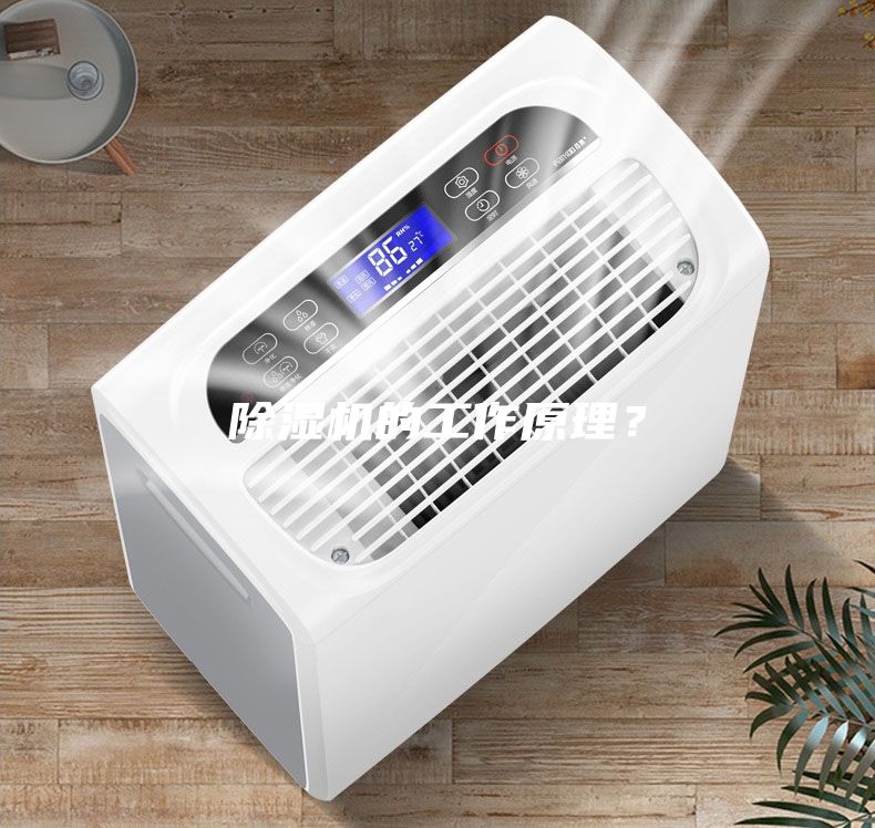 除濕機(jī)的工作原理?