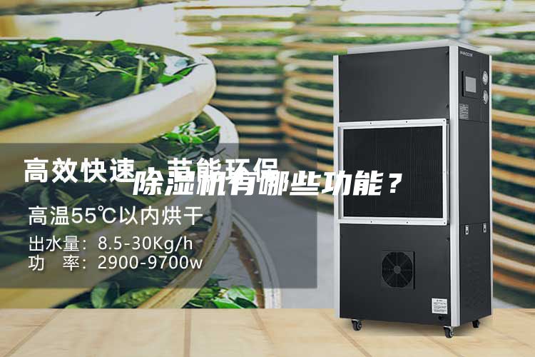 除濕機(jī)有哪些功能？