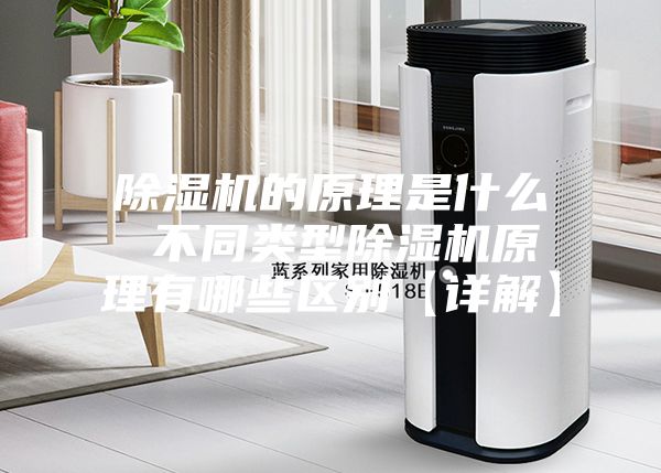 除濕機的原理是什么 不同類型除濕機原理有哪些區別【詳解】