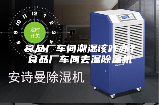 食品廠車間潮濕該咋辦?食品廠車間去濕除濕機(jī)