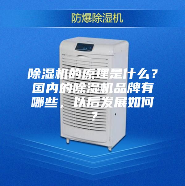 除濕機的原理是什么？國內的除濕機品牌有哪些，以后發展如何？