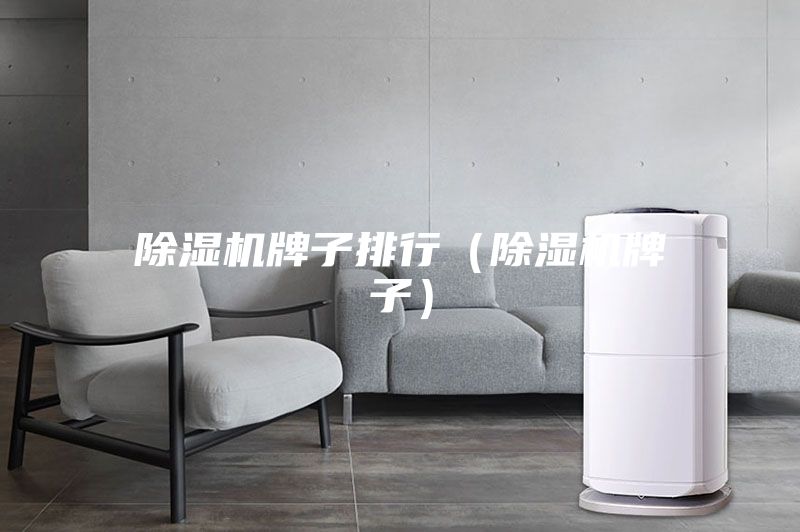 除濕機牌子排行（除濕機牌子）