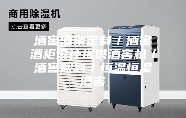 酒窖酒架定制/酒窖酒柜設計提供酒窖機/酒窖規劃/恒溫恒濕酒窖